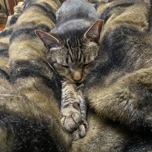 Meet your Posher, Ashlynn